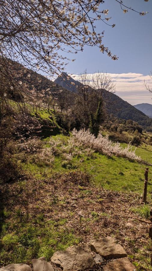 Casa Rural Petricor, Ordesa Vio Zewnętrze zdjęcie